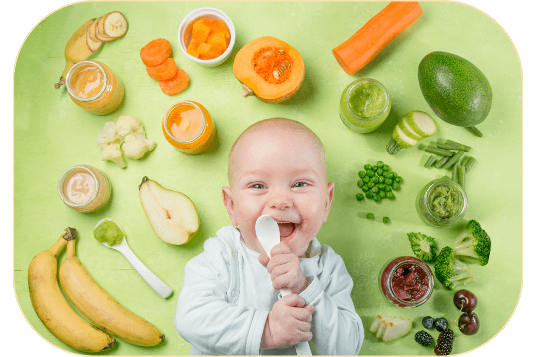 Read more about the article התחלת טעימות ומוצקים